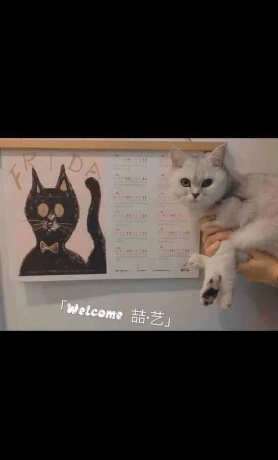 Zhe-Yi Boutique Guesthouse Pechino Esterno foto